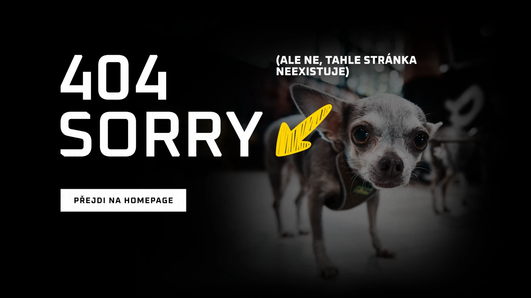Bcrossrun 404 error page mockup — bold 404 SORRY type with curious chihuahua and Přejdi na homepage button