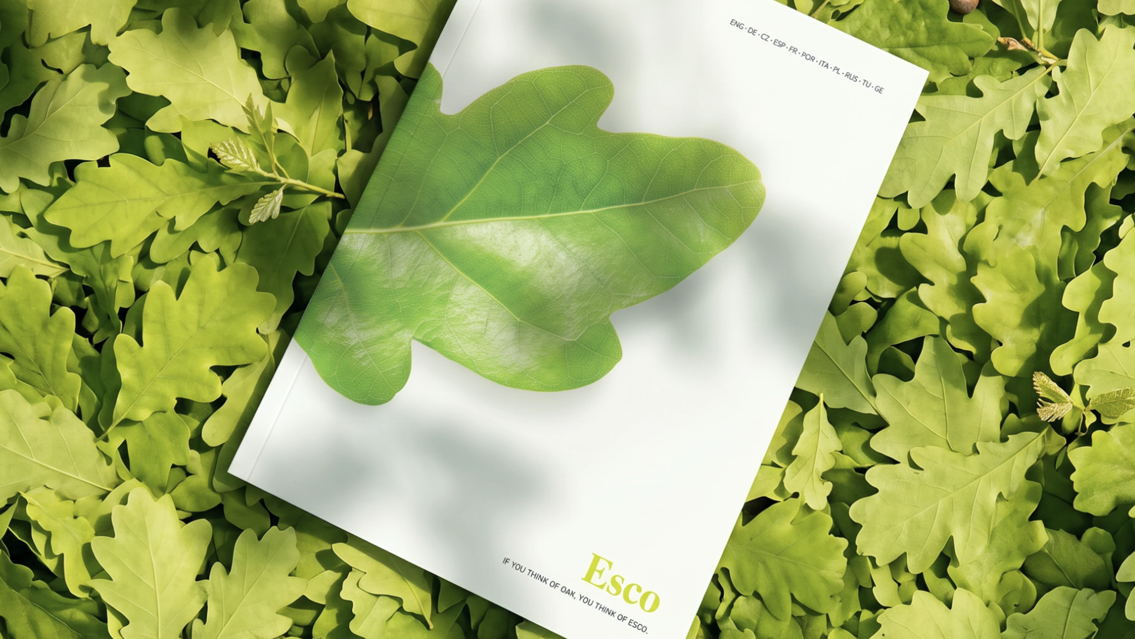 Esco catalog cover mockup — white booklet with oak leaf on white cover resting on fresh green oak leaves